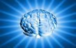 Brain.jpg